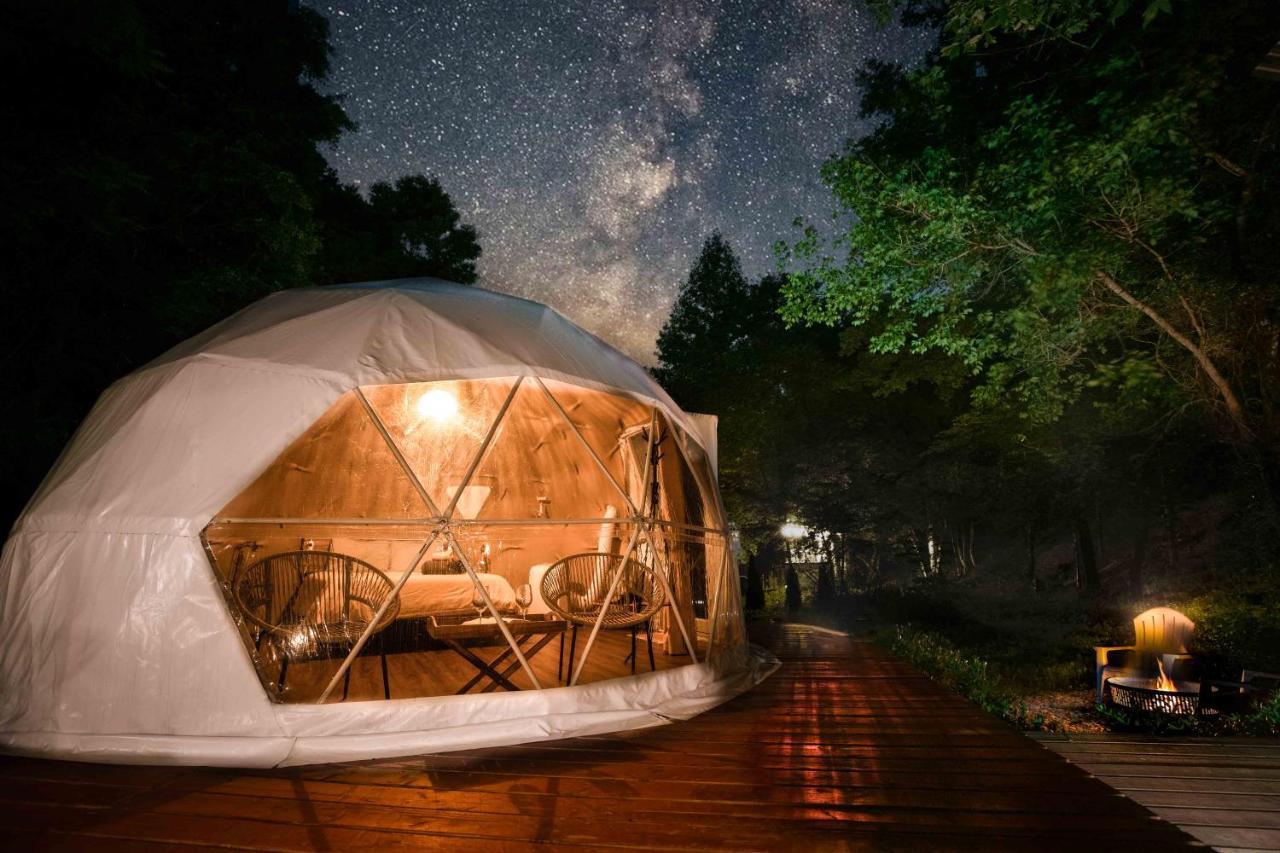 Luxury tent Solace Glamping 2 *