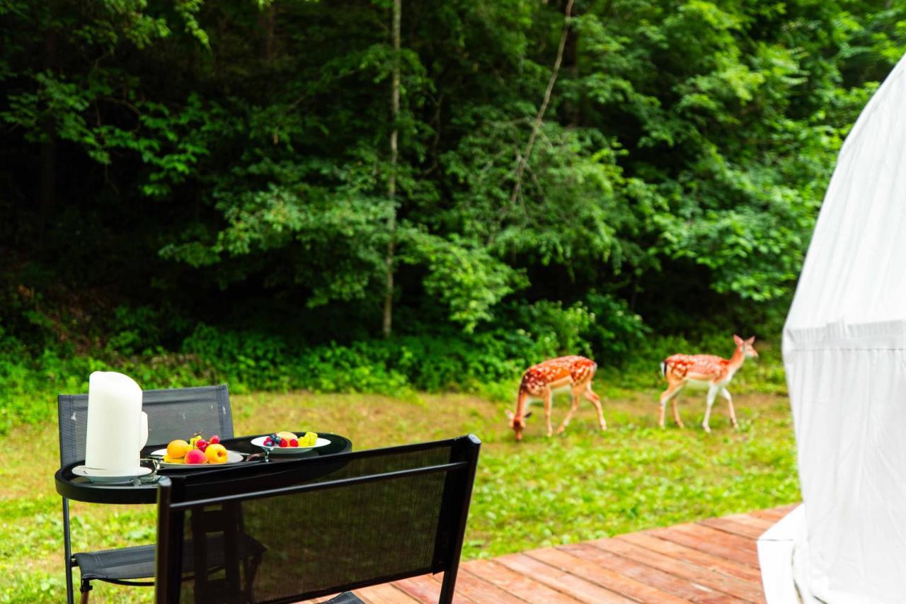 Campo de lujo Solace Glamping 2 *